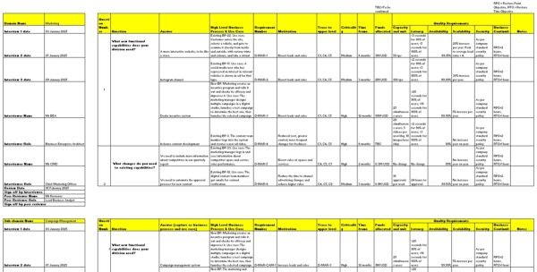 Business Leader Interview Template